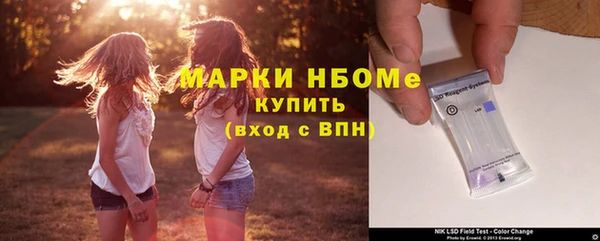 стаф Арсеньев
