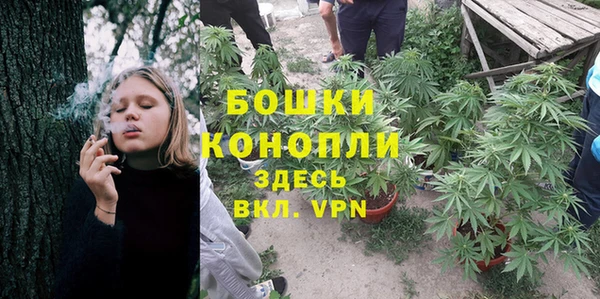 ПСИЛОЦИБИНОВЫЕ ГРИБЫ Алзамай