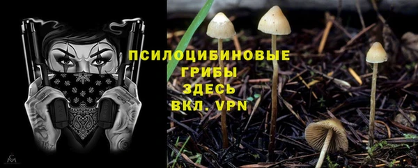 Альфа ПВП Алексин