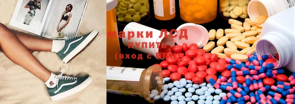 ПСИЛОЦИБИНОВЫЕ ГРИБЫ Алзамай