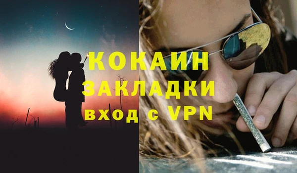 стаф Арсеньев
