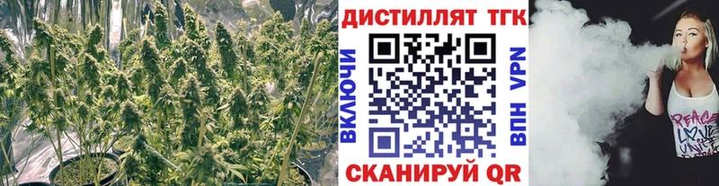 darknet формула  Ленинск  ТГК концентрат  kraken онион 