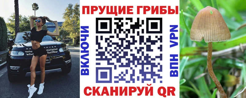 Псилоцибиновые грибы Magic Shrooms  где найти наркотики  Ленинск 